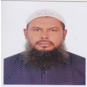 Matuail High School About Image